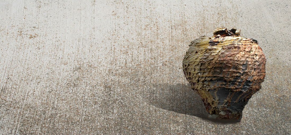 Bruce Riggs Clayworks